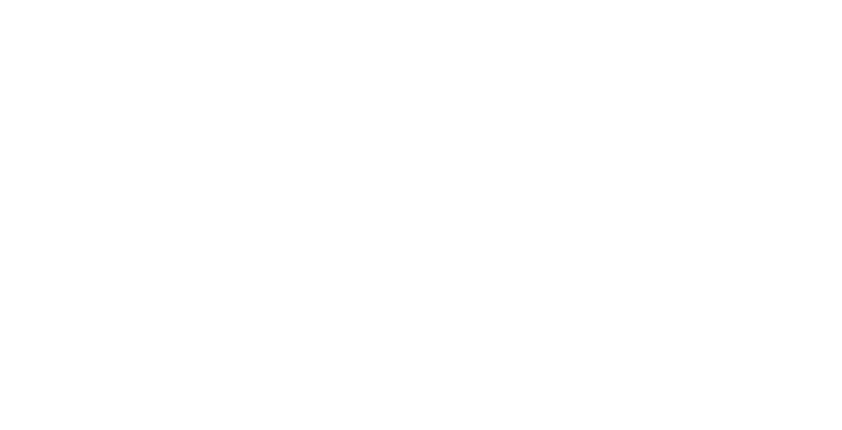 SAS GARAGE BABOULIN